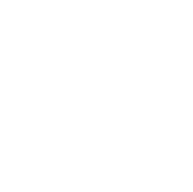 Shockwave Therapy (PiezoWave)	